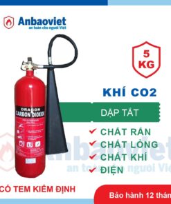 Bình chữa cháy xách tay khí CO2 5kg Dragon